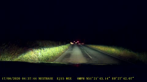 Early Morning Commuter Stops to Save a Badger from Getting Hit by Traffic