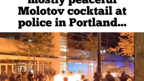 Riots in our city's by our own Government