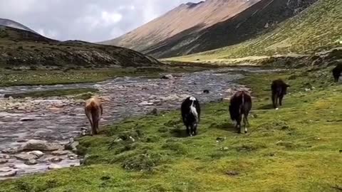 Mountains and rivers scenery