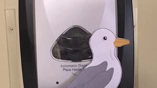 Seagull Hand Sanitizer Goof