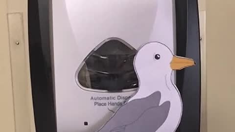 Seagull Hand Sanitizer Goof