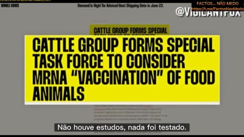 💉⚠️SASHA LATYPOVA, FALA SOBRE VACINAS mRNA NO SECTOR ALIMENTAR: "TESTARAM-NAS EM 8 RATOS, MAS VÃO PÔ-LAS EM VACAS?"💉⚠️