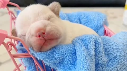 Cute little baby sleeping peacefully