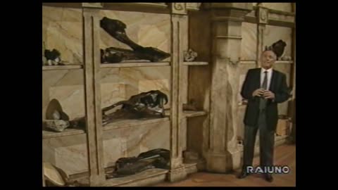 IL PIANETA DEI DINOSAURI - quarta puntata SENZA pubblico "l'estinzione" (Piero Angela, 1993)