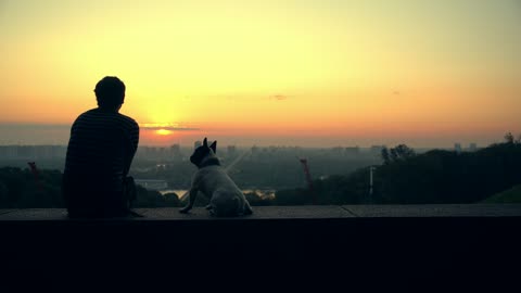 Man with his dog watching the sunset on the horizon