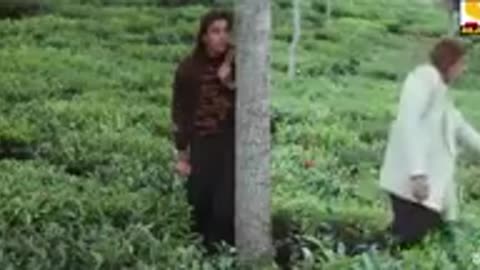Mera Dil Bhi Kitna Pagal Hai -_ Saajan (1991) _ Full 4K Video Song_144p