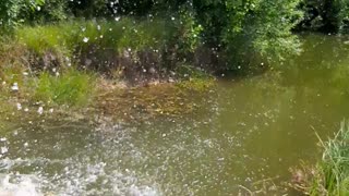 Falling into the River