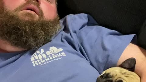 Snoring Competition Between Man and Pug