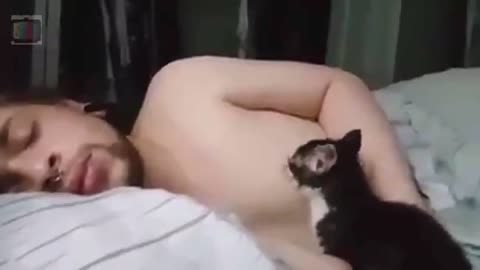 Omg! What This Cat Doing To Its Drowsy Human Is Freaking Weird