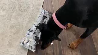 Ellie opening her present