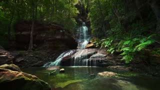 Zen Relaxation: Nature Sounds & Soothing Music for Meditation, Spa, Sleep