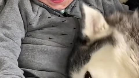 The Full 4 Year Story Of My Husky & Baby Becoming Best Friends!!