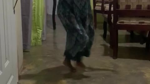 Charlotte haciendo su baile extraño