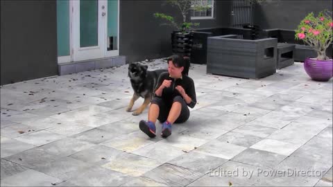How To Make a Dog Aggressive - Simple Tricks