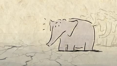 The hippocampus is responsible for better memory in elephants