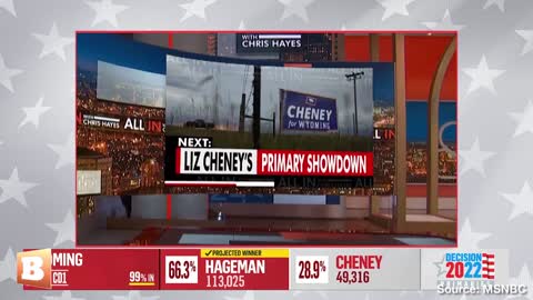 Media Inc. Goes Full Clown -- Depicts Liz Cheney as a Hero Rather Than a Boring Grifter