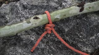 8 Essential Camp Knots and Hitches