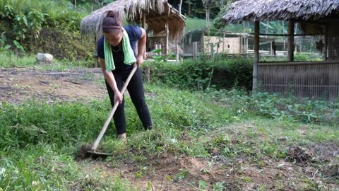 "Harvesting Chicken Eggs, Selling at the Market, and Living with Nature"