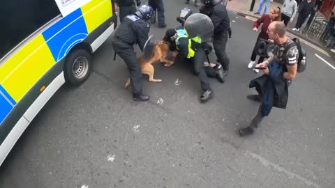 YOU TUBE CENSORED! NEWCASTLE (UK) - NWO POLICE DOG ATTACKS UNARMED PERSON ON THE GROUND