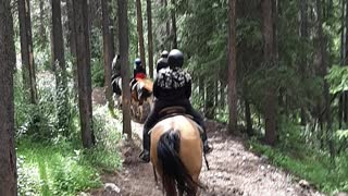 Horses Ride Banff Alberta Canada