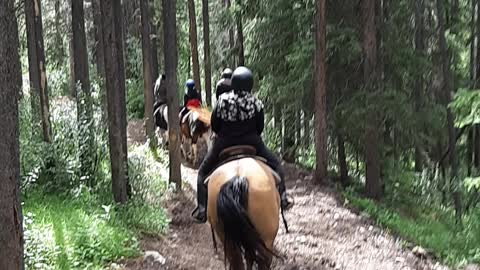Horses Ride Banff Alberta Canada