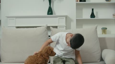 Mr.x Han Teaching his dog