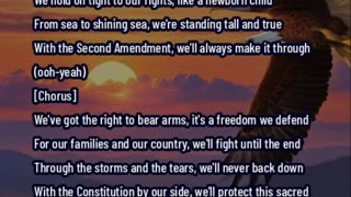 The Right To Bear ARMS ! Patriotic song -
