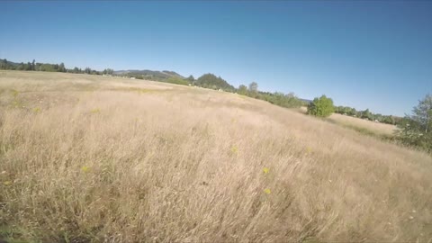 Dog Causes Pilot To Crash Drone And Start Fire