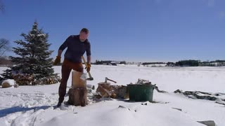 Barking and splitting a birch log. Springtime.