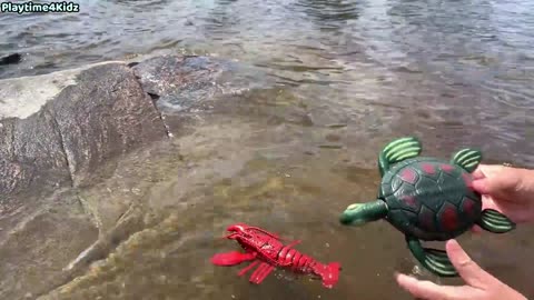 Sea Animal Toys This Summer at the Shore