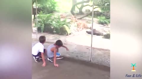 Funny childs playing with animals