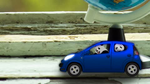 car panda :)