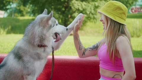 A Woman Training Her husky Dog at the Park Entertaining