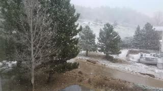 Colorado Snow Fall