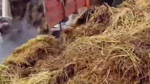 French Farmer Protest - Dumping Manure On Government Buildings