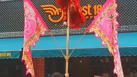 Great lion dance on a tall tree