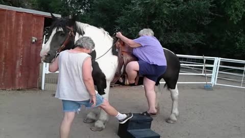 Large Woman Can't Dismount Her Horse