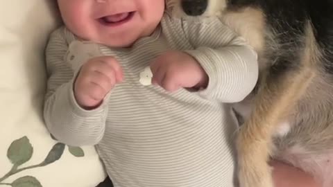 So Funny little baby and dog