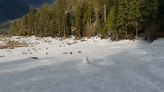 Pinecrest lake