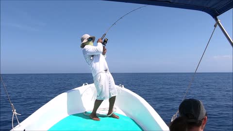 Sail Fish Caught in Costa Rica and Released