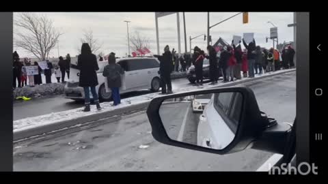 Hamilton Ontario Joining The Convoy #BearHUG - #NOVAXXPASS #NoMandatesEVER #TrudeauMustGO #O'toolMustGO