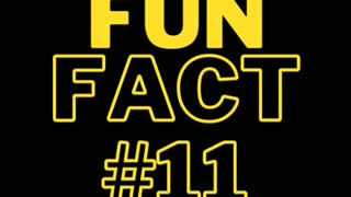 Fun Fact #11