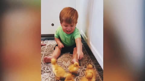 Baby playing with chickens, kids videos, funny videos
