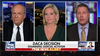 Legal panel weighs in with Shannon Bream on judge order to restart DACA