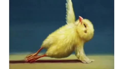 Chick yoga