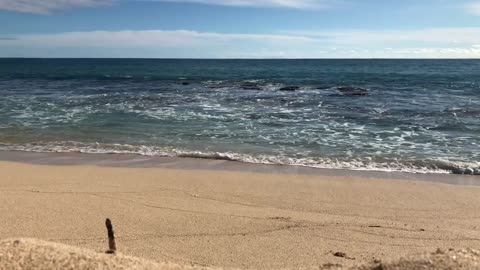 Ocean Serenity: Tranquil Waves for Relaxation and Deep Sleep | Soothing ASMR Beach Sounds