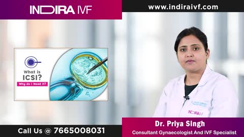 ICSI: Learn About ICSI Stimulation Treatment at Indira IVF