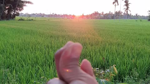 Turning the sunset with the click of the finger