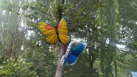 Flying on the tree is full of butterflies