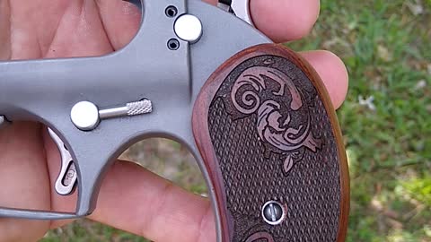 Bond Arms Derringer (with custom grips)